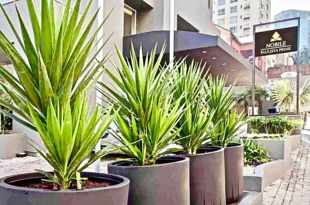 圣保罗Flat Whynd Paulista Al Campinas 540公寓 外观 照片